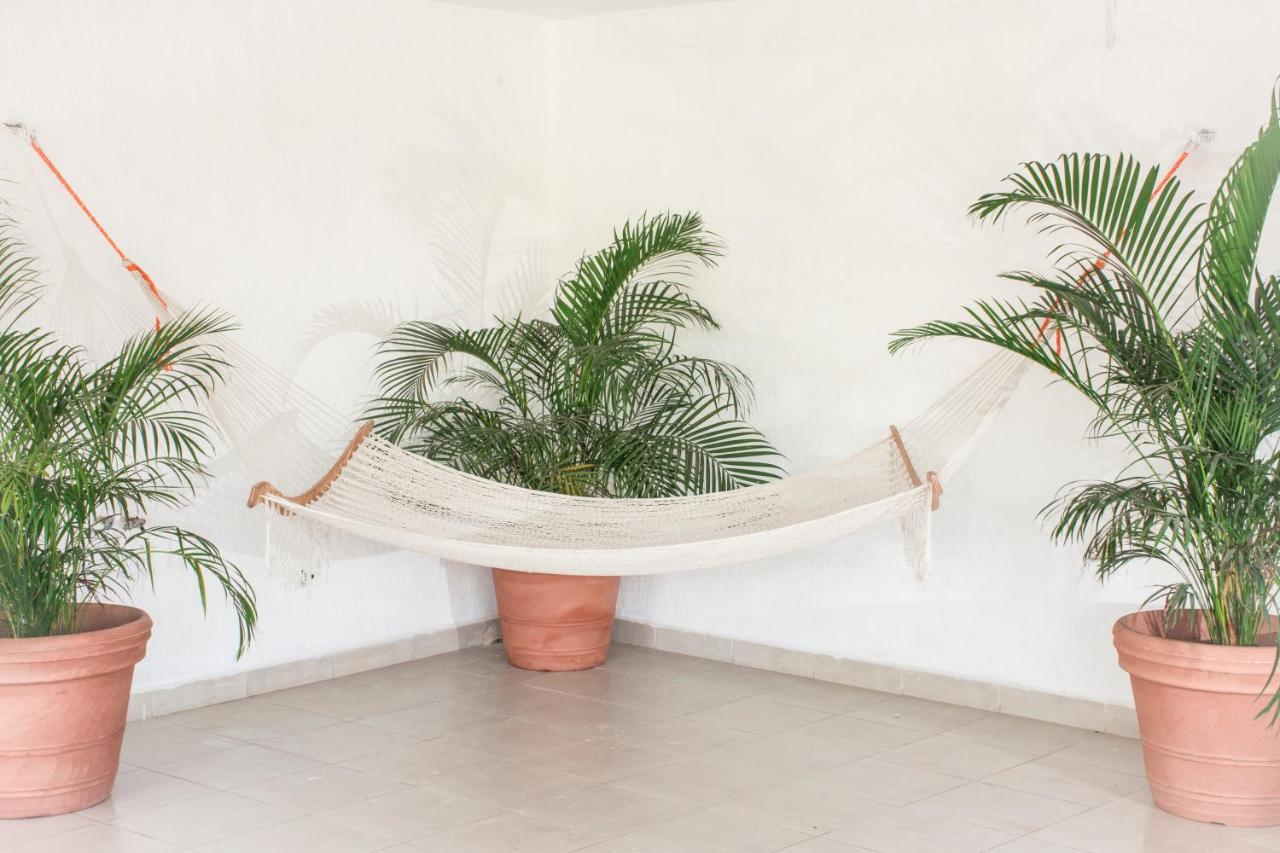 Hotel Shaddai Playa del Carmen Zewnętrze zdjęcie